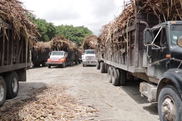 Sugar Cane Trucks Delivering Sugar Cane to BSI-ASR