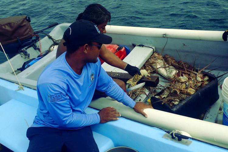 Fisheries Department approaching Fisher's boat 