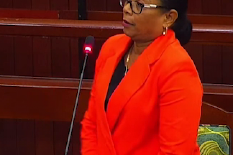 Opposition Senator, Beverly Williams