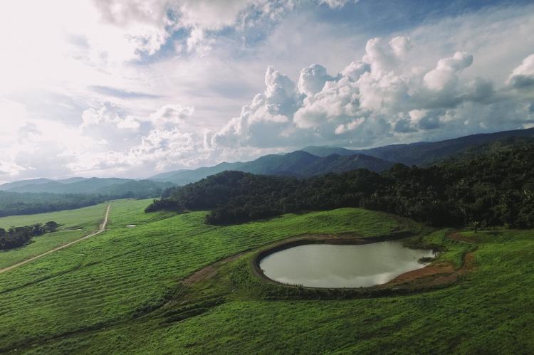 Silk Grass Farm Lands