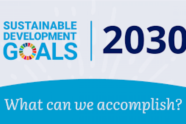 Sustainable Development Goals 2030