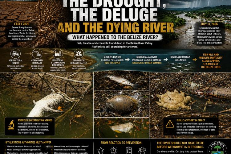 The Drought and The Deluge.Image