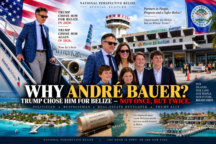 Why-Andre-Bauer.Image