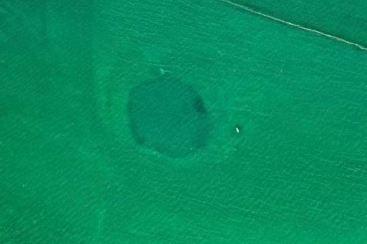 Chetumals Recently Discovered Blue Hole in the Chetumal Bay