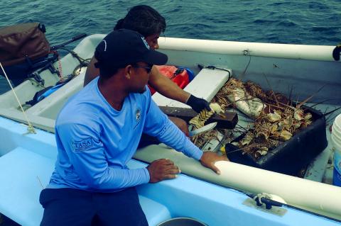 What the Law Says vs. What Justice Demands Fisheries Department approaching Fisher's boat
