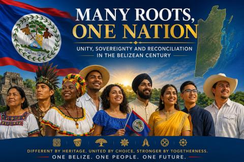 Many Roots.Image