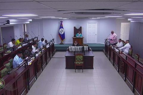 Belize Senate in Session