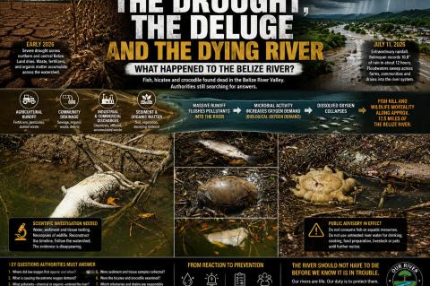 The Drought and The Deluge.Image