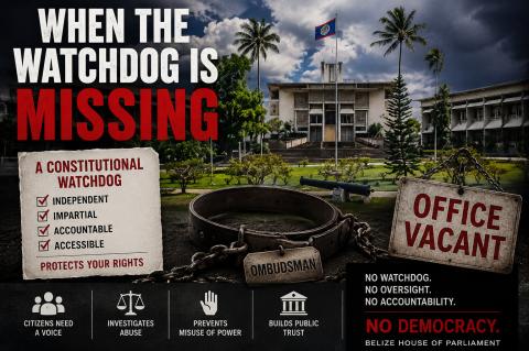 When the Watch Dog is Missing.Image