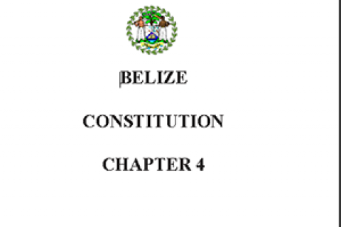 Image of the Belize Constitution