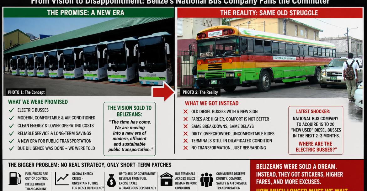 Electric Promise.Diesel Reality. Image
