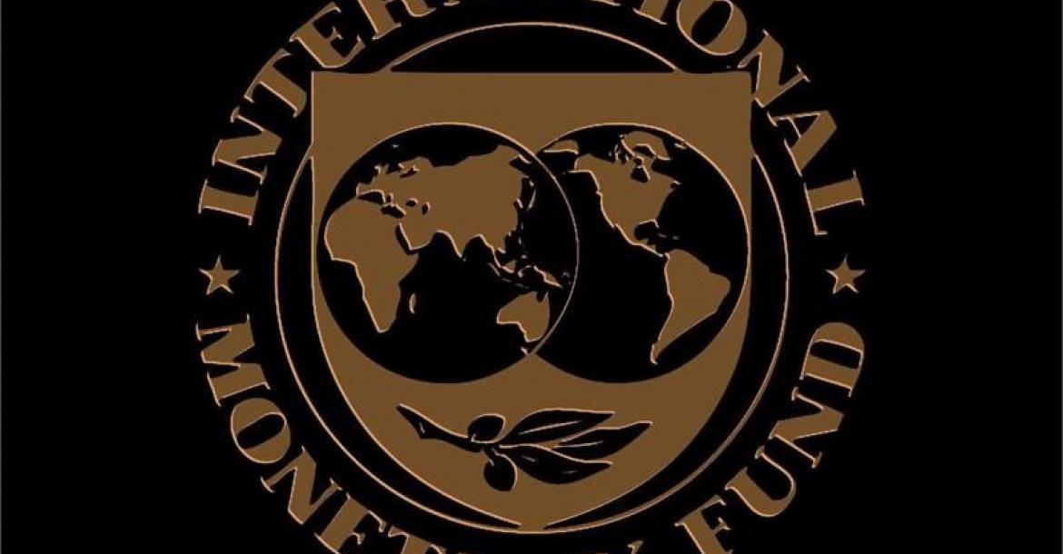 IMF Logo