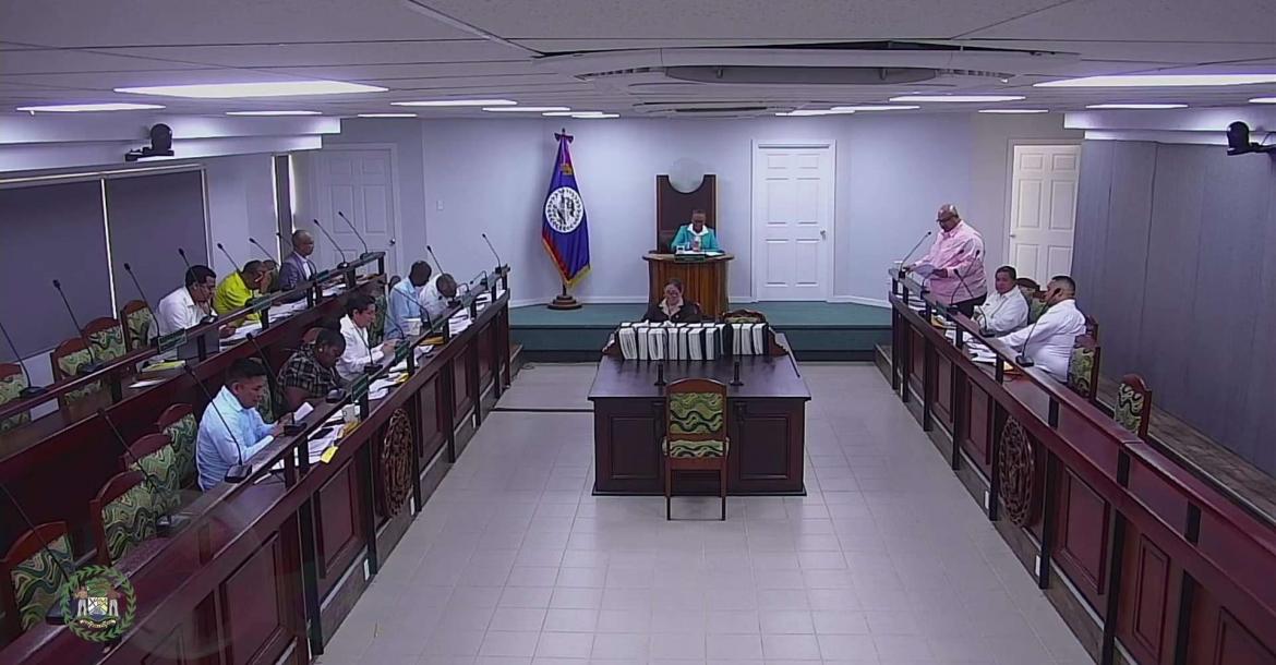 Belize Senate in Session