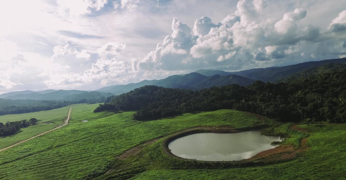 Silk Grass Farm Lands