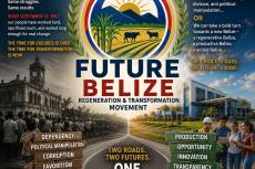 Belize at the Crossroads.image 