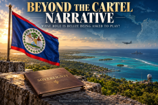 Beyond the Cartel Narrative.Image