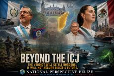 Beyond the ICJ.Image