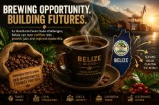 Brewing Opportunity. Image