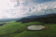 Silk Grass Farm Lands