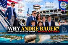 Why-Andre-Bauer.Image